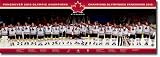 2010 Hockey Canada (Celebration, Door) Sports Poster Print - 21