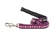 Red Dingo Designer Dog Lead, Medium, Daisy Chain Purple