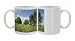 Photo Mugs of SAS-223 Olive Tree - in flowering spring meadow with Common Borage (Borago from Ardea Wildlife Pets
