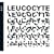 Leucocyte