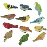 Miniature Birds