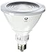 GE 92967 18W LED Lamps