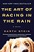 The Art of Racing in the Rain