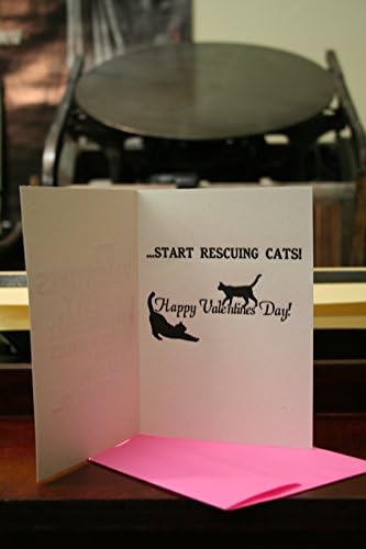 "Its Valentines Day, a day like today when i realize its settle down with you or..." (Valentines Day Card