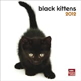 Black Kittens 2012 7X7 Mini Wall Calendar