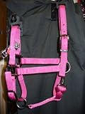 Pink Large Miniature Mini Horse Halter