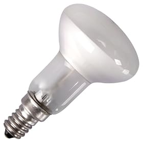 40w R50 Ses Spot Bulb, 6 Pack
