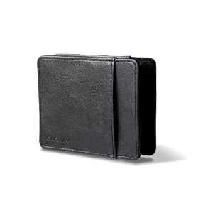 Garmin 3.5-Inch Carrying Case by Garmin