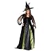 Goth Maiden Witch Plus Adult