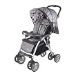 Combi Torino DX Full-Sized Lightweight Stroller in Ember