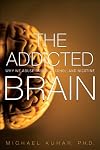 The Addicted Brain