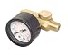 Brass Air Regulator with Gauge