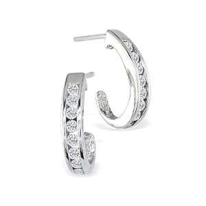 10K White Gold Diamond Hoop Earrings (1/4ct tw)