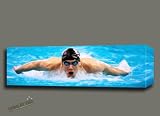 MICHAEL PHELPS ORIGINAL DIGITAL PAINTING PANORAMA ON CANVAS MOUNTED W GALLERY WRAP STYLE FRAMING 32X10X1.5