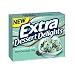 Extra Dessert Delights Sugarfree Gum Mint Chocolate Chip Flavored Gum Ten 15 Stick Packs