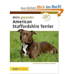 Mein gesunder American Staffordshire Terrier