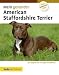 Mein gesunder American Staffordshire Terrier