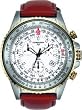 Torgoen Swiss Professional Pilot Watch - T2.03.04.S03