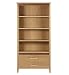 Detroit Bookcase