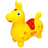 ロディコインバンククラシカル (イエロー)の画像