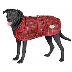Weatherbeeta Landa Deluxe Dog Blanket
