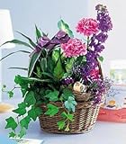 Garden Comforts - B0012BH2XO