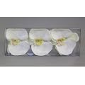 Kunstblumen 3 St. Schwimm-Orchideen WEISS-CREME