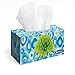 Scotties 2-Ply Facial Tissues, 120-ct. Boxes (2 family boxes).