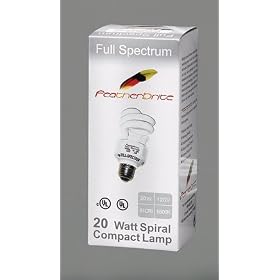 FeatherBrite 20 Watt Full Spectrum Bulb by FeatherBrite