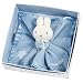 Miffy
Comfort
Balnket
Blue
In
Box