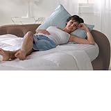 IMAGE OF Aerobed Raised Queen Bed with Pillow Support