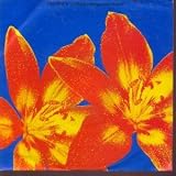 STRINGS AND FLOWERS 7 INCH (7" 45) GERMAN VIRGIN 1991