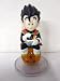 Search : Dragonball Z: Great Saiyaman Gohan on Dragon Ball Base