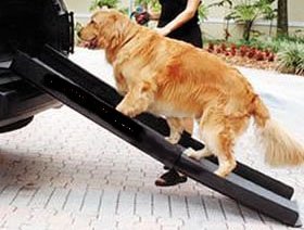 Dog Ramp -Telescope 72 – Universal – Black ~ Triple Telescoping 72″ Dog Ramp
