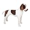 Melissa & Doug Plush German Shorthaired Pointer