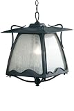 Gaudi Medium Hanging Lantern, FROSTED SEEDED, EBONY PEARL - B000...