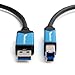 BlueRigger SuperSpeed USB 3.0 Type A Male to Type B Male Cable (3 Feet)