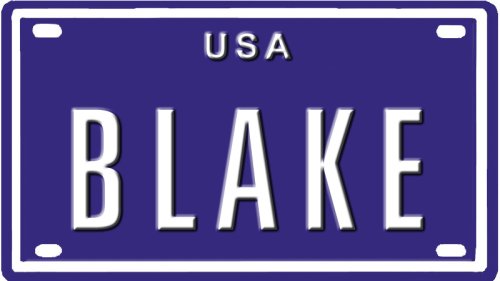 BLAKE USA MINI METAL EMBOSSED LICENSE PLATE NAME FOR BIKES, TRICYCLES, WAGONS, KIDS DOORS, GOLF CARTS, BABY STROLLERS, PEDAL CARS. OVER 400 NAME AVAILABLE. TYPE IN \
