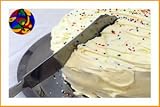 Stainless Steel Cake Knife