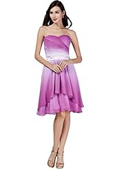 Chiffon/Organza Lace Tea Length Evening Dress/Prom Dress/Party Dress 