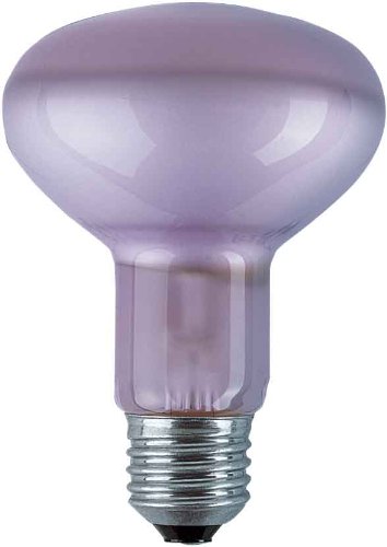 Childrens Toyshop  Elektronik : Pflanzenlampe 60 Watt E27 Reflektorlampe CONC R80 NATURA 60