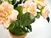 Potted Artificial Silk Peach Mini Rose Topiary Plant ~ Artificial flowers ~ potted plant ~ tree