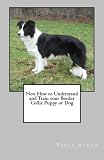 How to Understand and Train your Border Collie Puppy or Dog