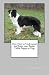 How to Understand and Train your Border Collie Puppy or Dog
