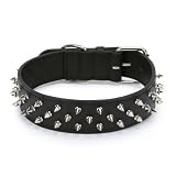 Casual Canine Leather Deluxe Spiked Dog Collar, 25-Inch, Black