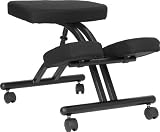 Ergonomic Kneeling Posture Office Chair [WL-1420-GG]