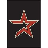 Houston Astros MLB Mini Garden or Window Flag (15"x10.5")