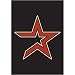 Houston Astros Garden/Window Flag