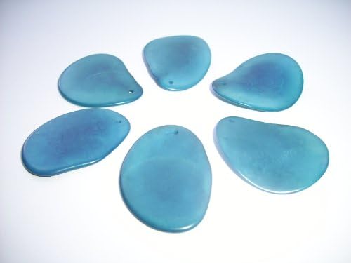 Tagua Nut Thin Slices Turquoise Large Size Package of 6