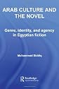 Arab Culture, Identity and the Novel: Genre, Identity and Agency in Egyptian Fiction (Routledge Studies in Middle Eastern Literatures)